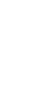 Who let the Dogs out?